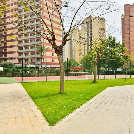 D'oboe Tower בנידורם